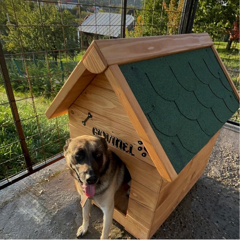 Cusca pentru caini talie medie , din lemn masiv cu acoperis Tigola ,asamblabil 60 x 83 cm baza ,100 x 80 cm latime + inaltime ,coama de 95 cm - BUZ.RO