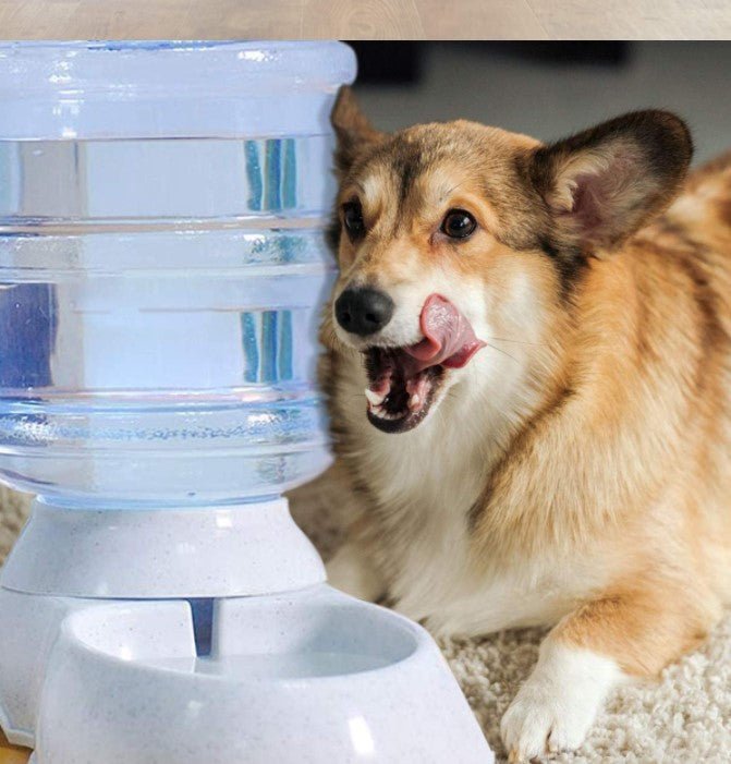 Dispenser dozator mancare si apa automat, adapatoare, catei si pisici, dispenser hrana si recipient apa, set 2 buc - BUZ.RO