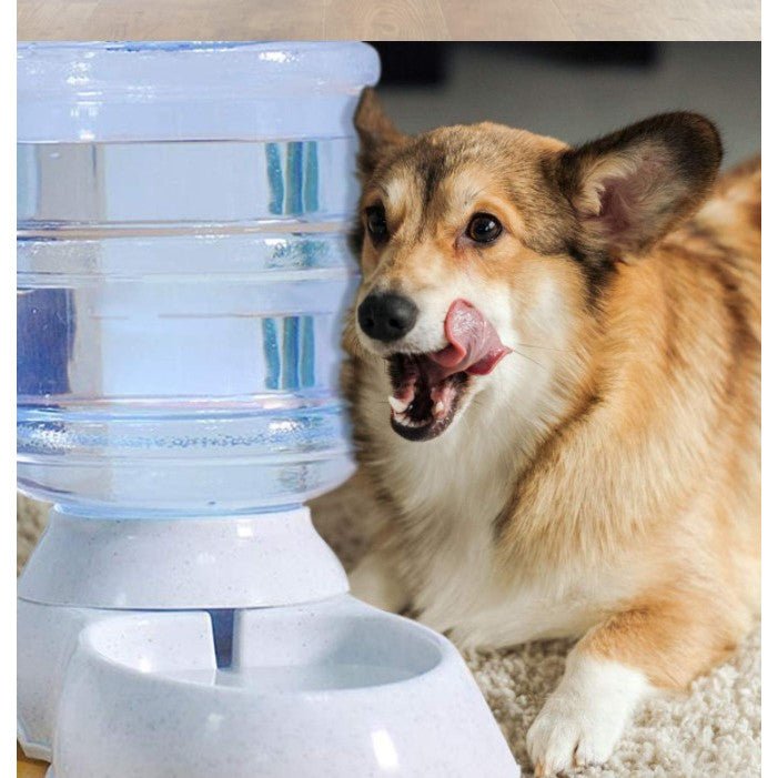 Dozator apa, dispenser apa, dozator apa bidon, pentru caini si pisici, 3.8 litri - BUZ.RO