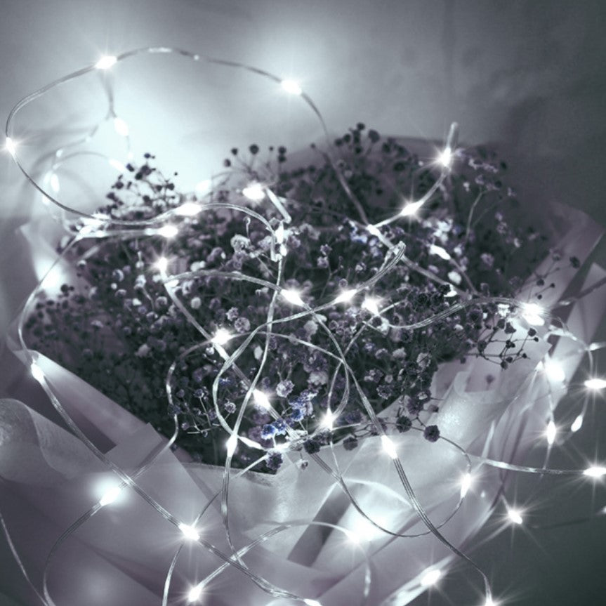 Instalatie pentru craciun, luminoasa, 20 metri, 200 Leduri, pentru interior, alb rece