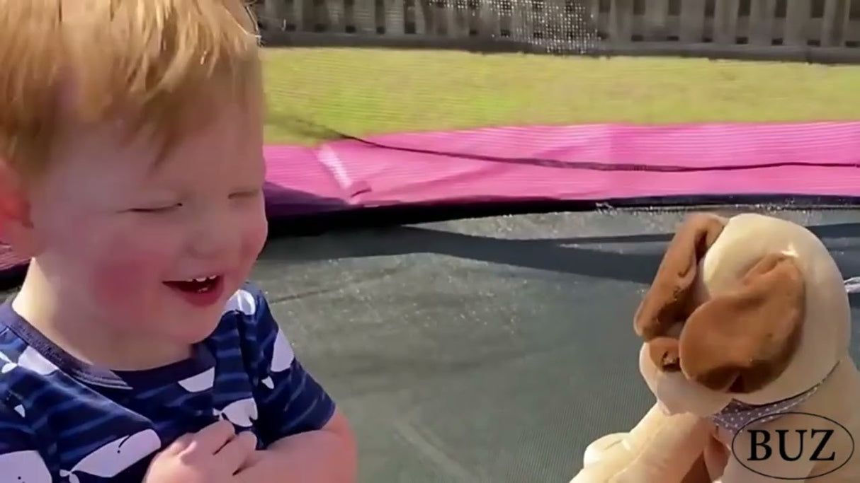 Catel de plus, catel interactiv, peek a boo, v-ati ascunselea, maro, 26 cm