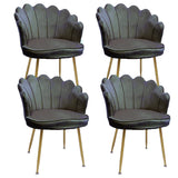 Scaun bucatarie set scaune dinning/sufragerie/hol/sala de asteptare, egonomic,husa catifea,scoica