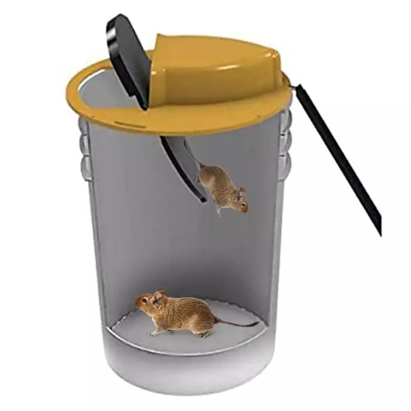 Capcana pentru galeata cu clapeta, pentru rozatoare, soareci, sobolani - BUZ.RO