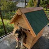 Cusca pentru caini talie medie , din lemn masiv  cu acoperis Tigola ,asamblabil  60 x 83 cm baza ,100 x 80 cm latime + inaltime ,coama de 95 cm
