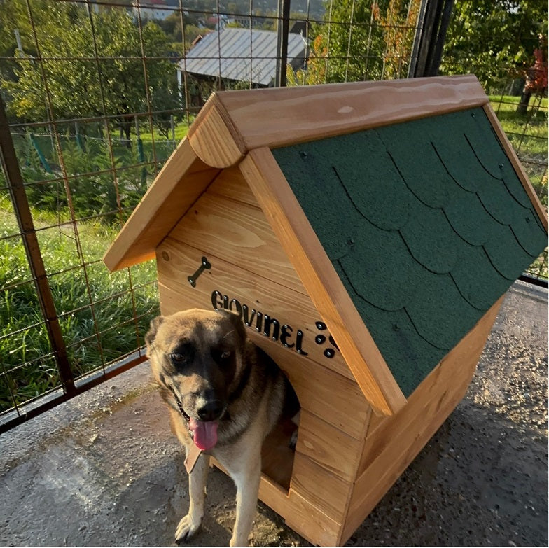 Cusca pentru caini talie medie , din lemn masiv  cu acoperis Tigola ,asamblabil  60 x 83 cm baza ,100 x 80 cm latime + inaltime ,coama de 95 cm Maro Cusca nume personalizat