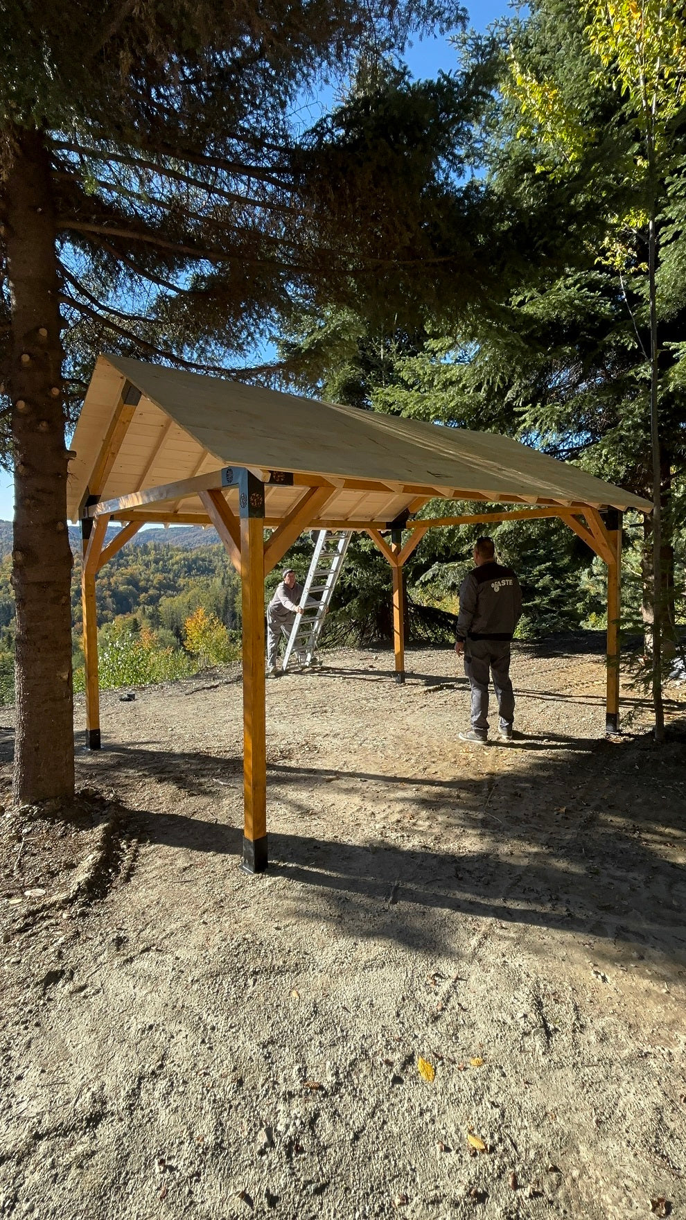 Foisor Pergola Garaj gradina cu kit metalic pergola inclus, 3x4 m, din lemn rindeluit esenta rasinoasa ,10 conectori, inaltime 2.3 metri
