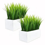Ghiveci cu iarba artificiala, planta decorativa, 21x20x8 cm - BUZ.RO