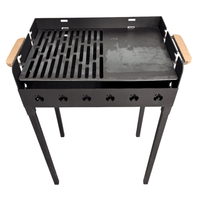 Gratar Gradina 3 mm+ plita, reglabil pe inaltime de gatire , 65X45X h95 CM