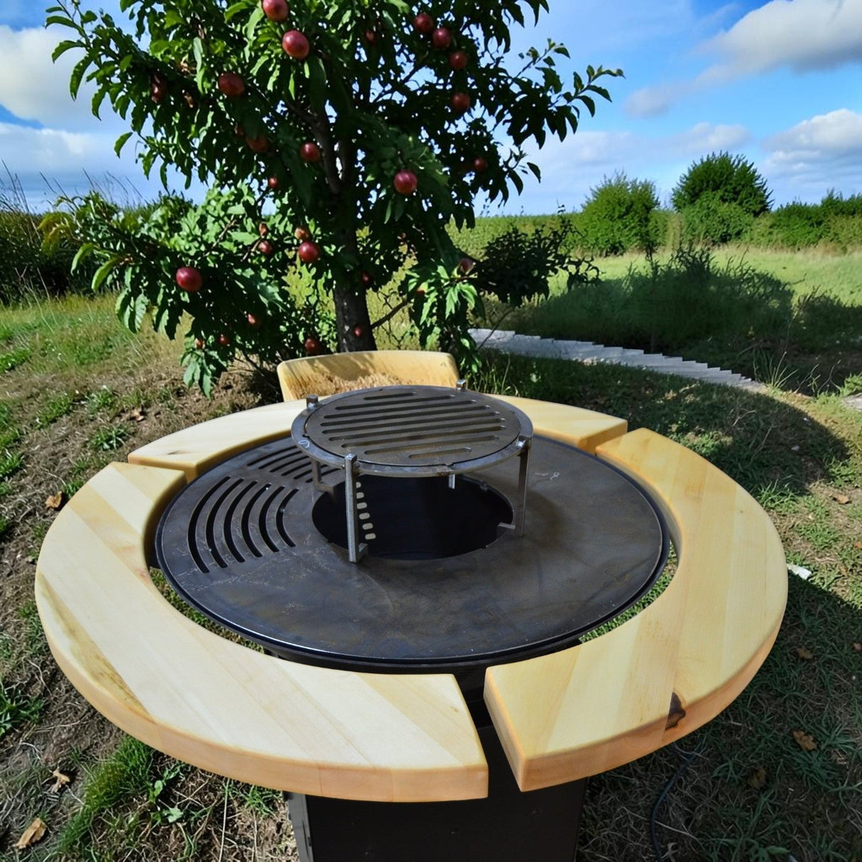 Gratar Rotund de gradina diametru 75 cm fire pit cu Plita rotunda Otel dur - BUZ.RO