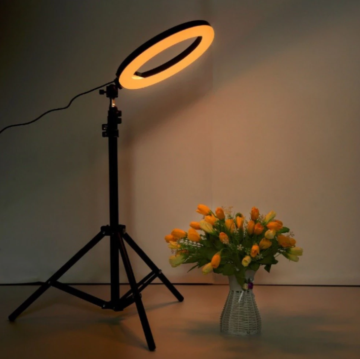 Lampa circulara profesionala, ring light, suport telefon, cu telecomanda, diametru 10 inch, 210 cm, 13 trepte de iluminare