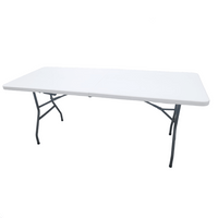 Masa pliabila pentru camping, gradina sau terasa, pescuit, 180 cm, portabila, alb gri