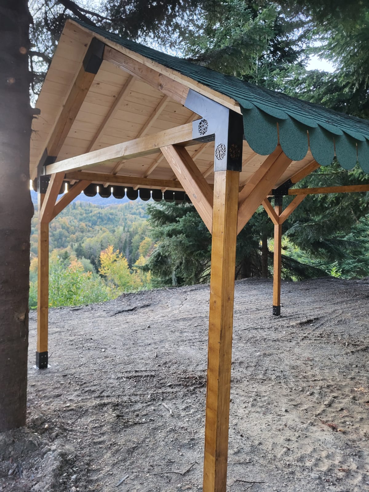 Pavilion gradina ,Foisor ,Pergola Garaj cu kit metalic pergola inclus, 3x4 m, din lemn rindeluit - BUZ.RO