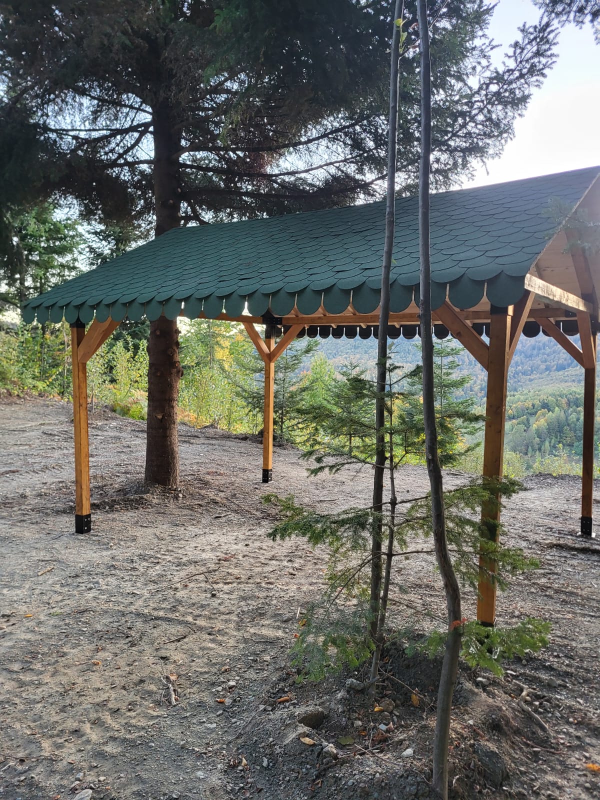 Pavilion gradina ,Foisor ,Pergola Garaj cu kit metalic pergola inclus, 3x4 m, din lemn rindeluit - BUZ.RO