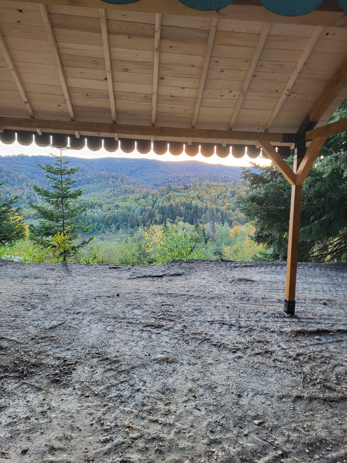 Pavilion gradina ,Foisor ,Pergola Garaj cu kit metalic pergola inclus, 3x4 m, din lemn rindeluit - BUZ.RO