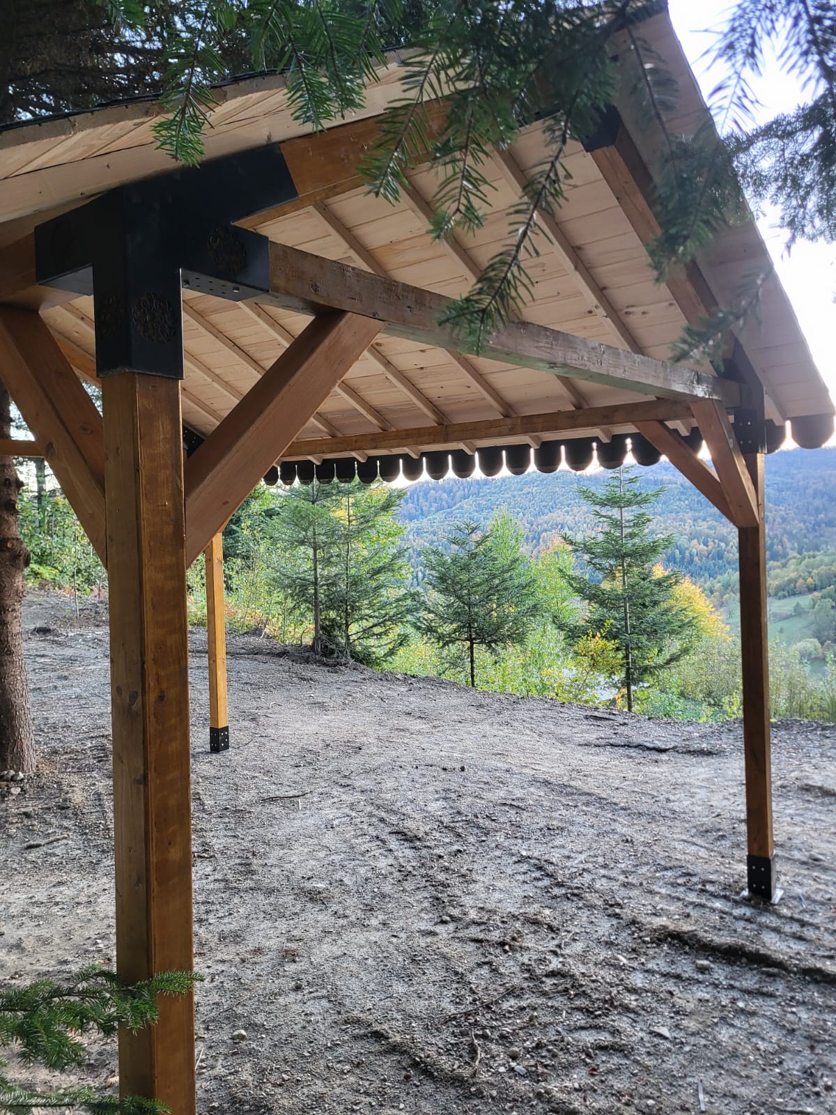 Pavilion gradina ,Foisor ,Pergola Garaj cu kit metalic pergola inclus, 3x4 m, din lemn rindeluit - BUZ.RO