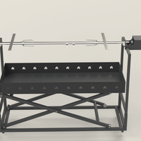 Protap Rotisor inox ,electric profesional 100 kg , porc ,purcel,vitel,berbecut,berbec ,cu focar reglabil, 160 cm x 60 cm