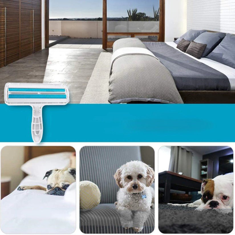 Rola scame, perie curatare par animale, bidirectionala, albastra - BUZ.RO