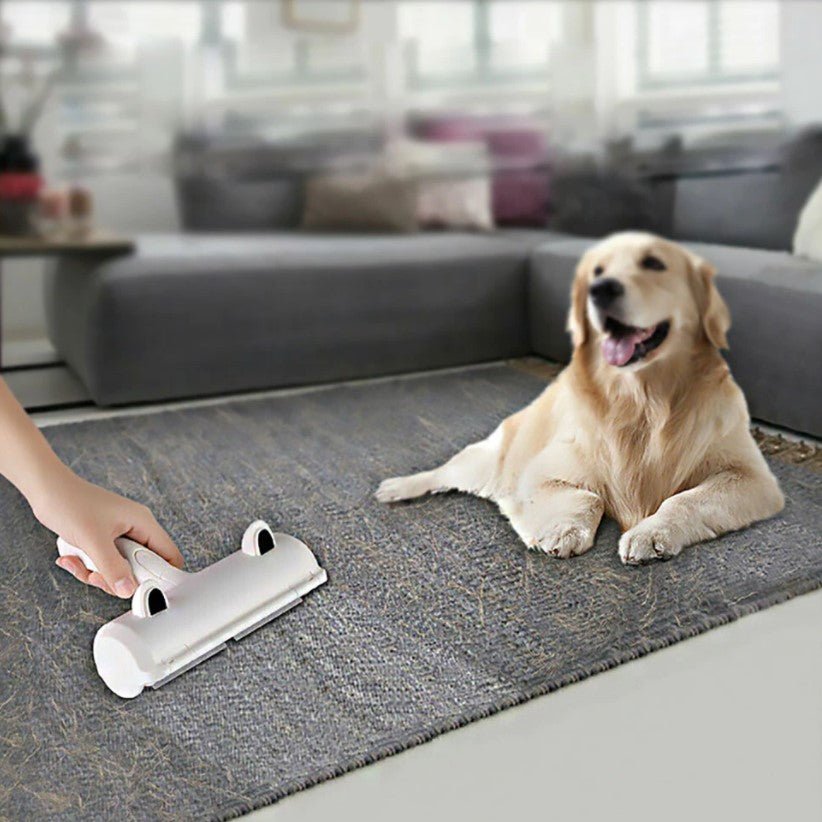 Rola scame, perie curatare par animale, bidirectionala, albastra - BUZ.RO