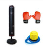 Sac de box, coloana de box gonflabila ,pompa , manusi protectie - BUZ.RO