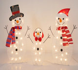Set 3 oameni de zapada, luminosi pentru Craciun, interior, exterior, 60 leduri, rezistent la apa, lumina alb calda